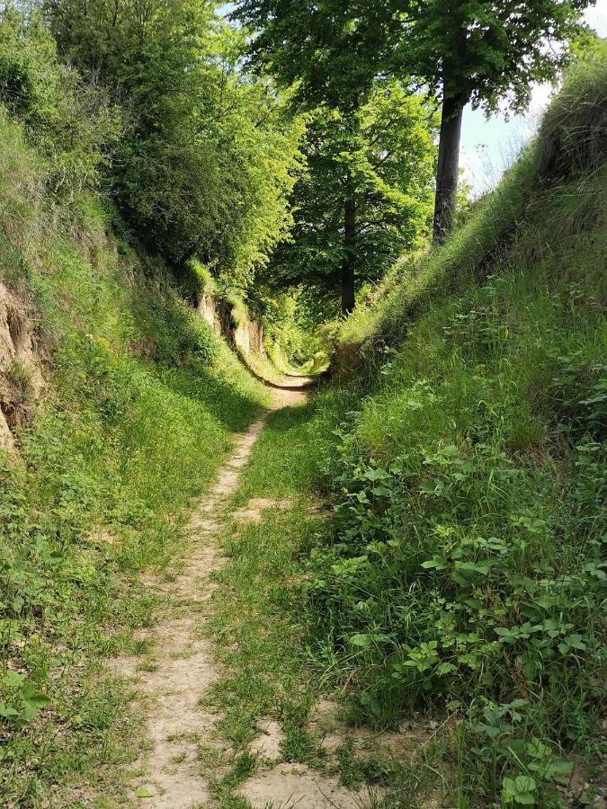 Im Herzen Des Kraichgaus 1 Ostringen Εξωτερικό φωτογραφία